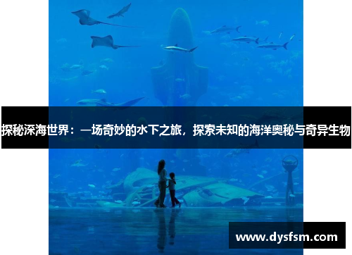 探秘深海世界：一场奇妙的水下之旅，探索未知的海洋奥秘与奇异生物