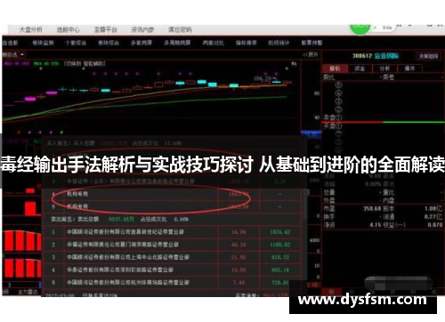 毒经输出手法解析与实战技巧探讨 从基础到进阶的全面解读